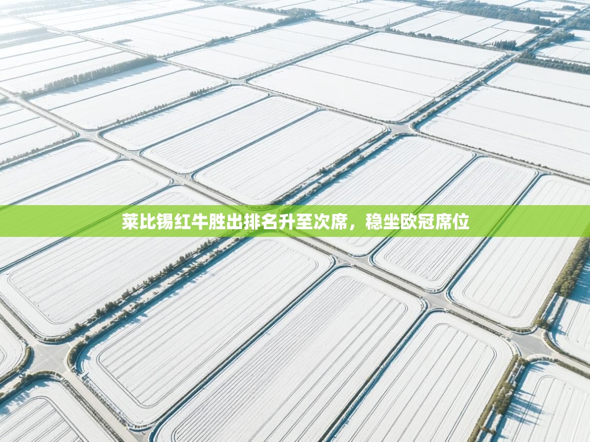 开云体育英文版入口-莱比锡红牛胜出排名升至次席，稳坐欧冠席位