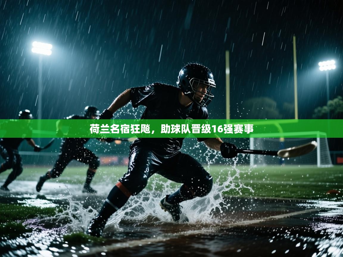 开云体育app-荷兰名宿狂飚，助球队晋级16强赛事  第2张