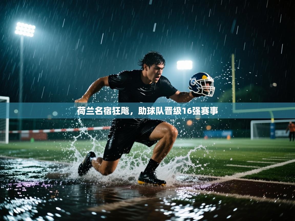 开云体育app-荷兰名宿狂飚，助球队晋级16强赛事  第4张