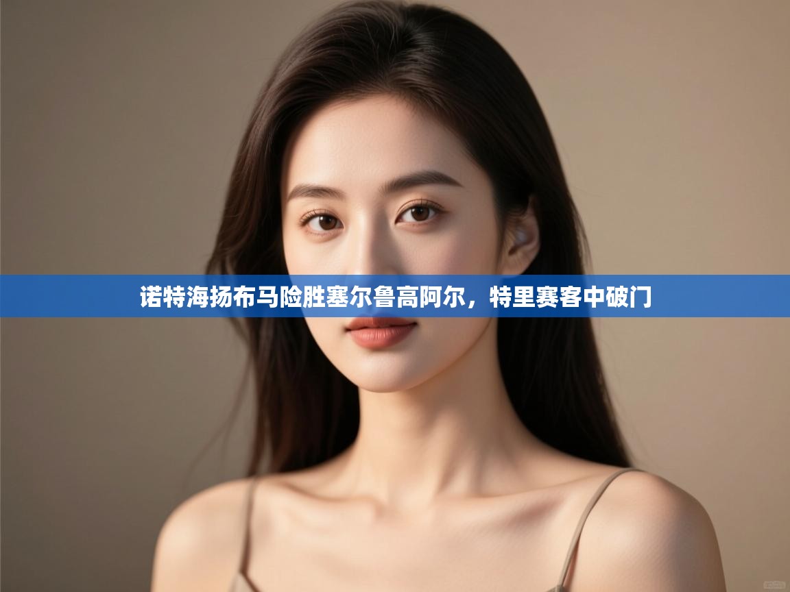 -诺特海扬布马险胜塞尔鲁高阿尔,特里赛客中破门 第2张