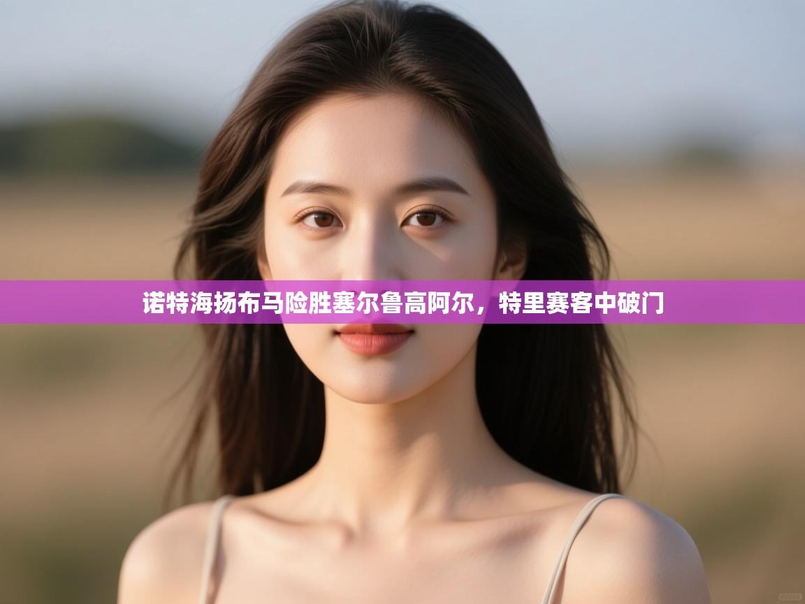 -诺特海扬布马险胜塞尔鲁高阿尔,特里赛客中破门 第4张