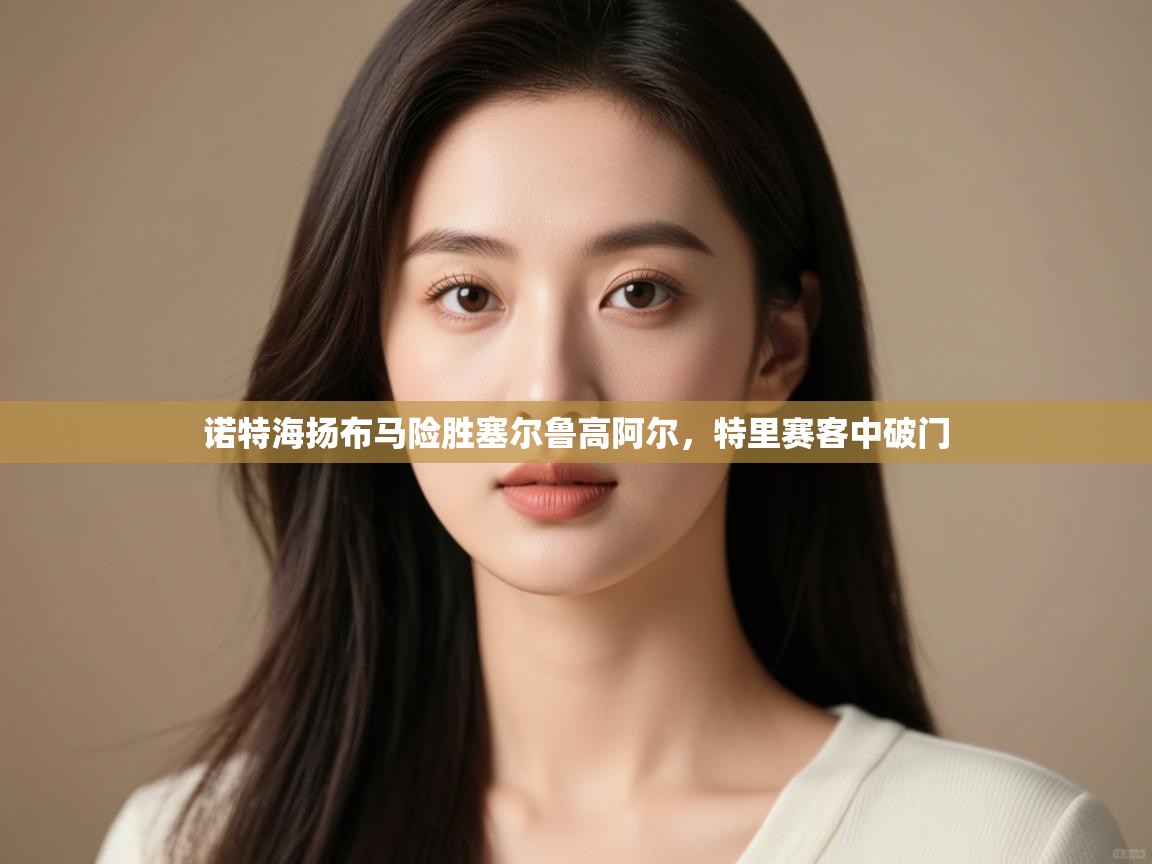 -诺特海扬布马险胜塞尔鲁高阿尔,特里赛客中破门 第3张