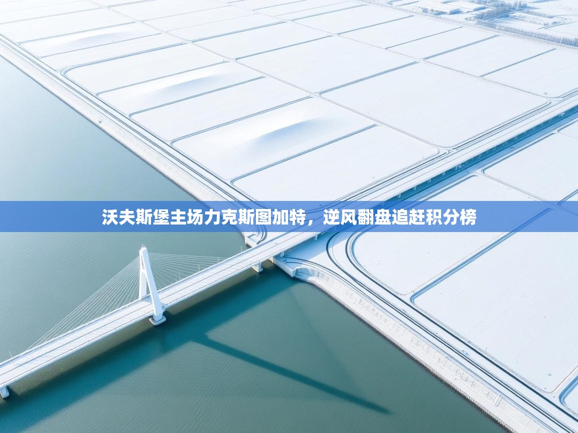 开云客服-沃夫斯堡主场力克斯图加特，逆风翻盘追赶积分榜  第1张