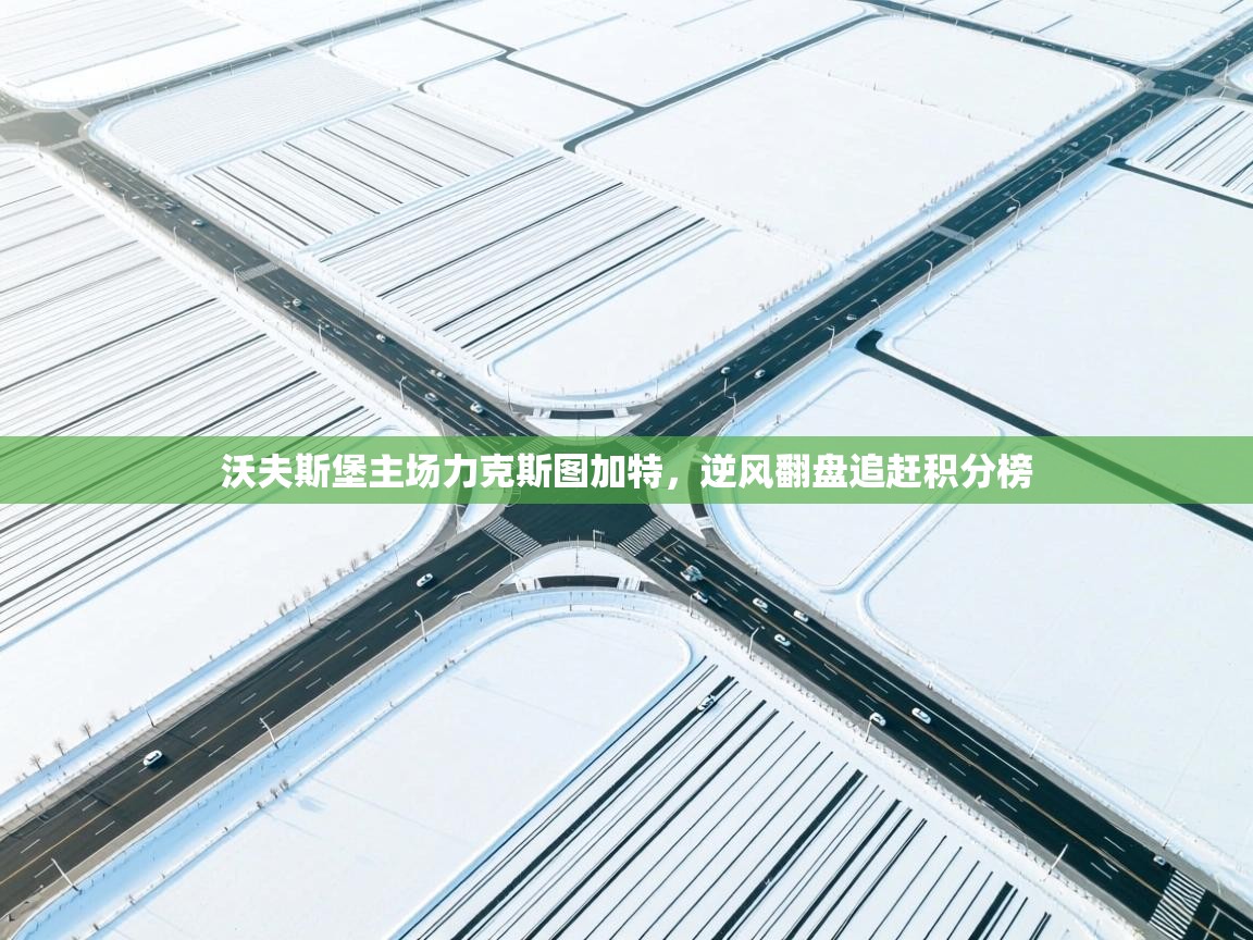 开云客服-沃夫斯堡主场力克斯图加特，逆风翻盘追赶积分榜  第2张