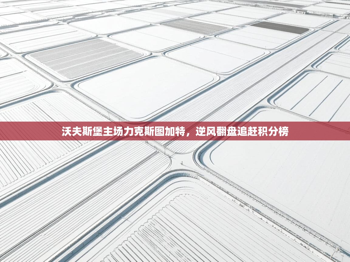 开云客服-沃夫斯堡主场力克斯图加特，逆风翻盘追赶积分榜  第4张