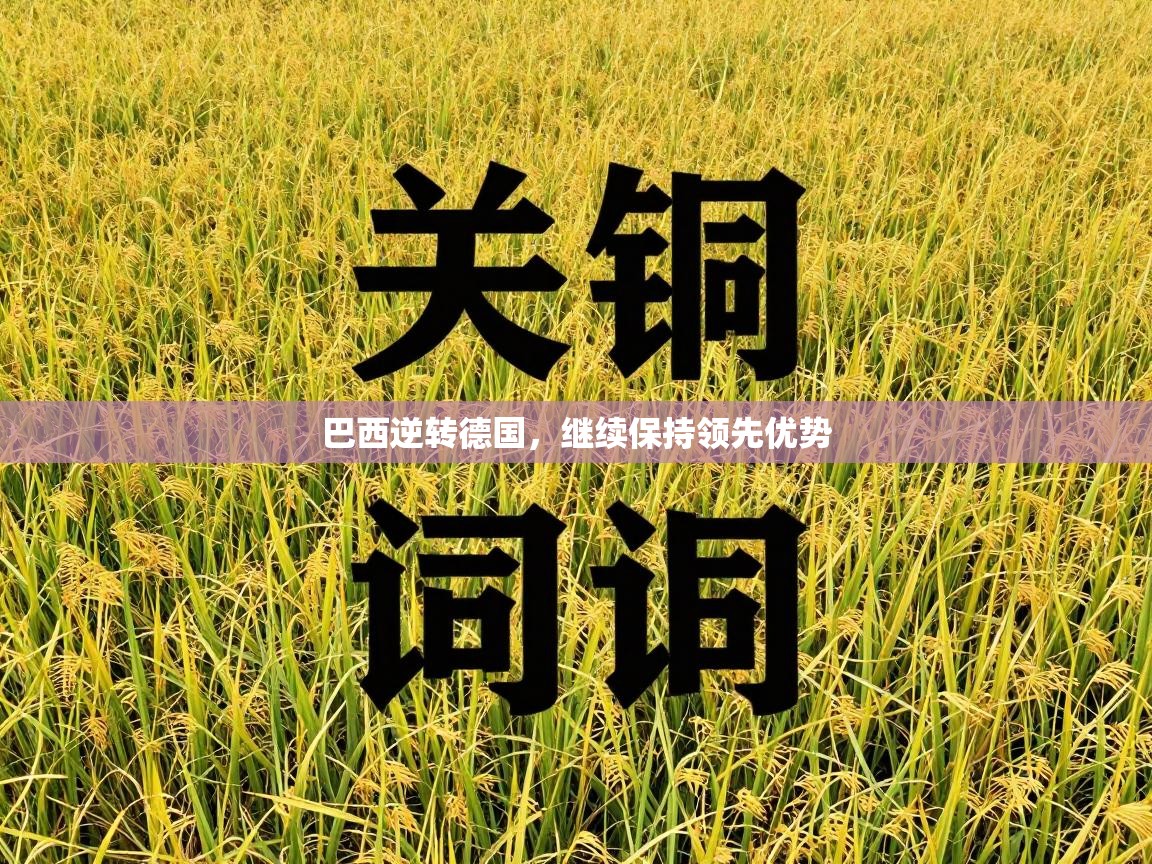 开云体育VIP权益说明-巴西逆转德国，继续保持领先优势  第2张