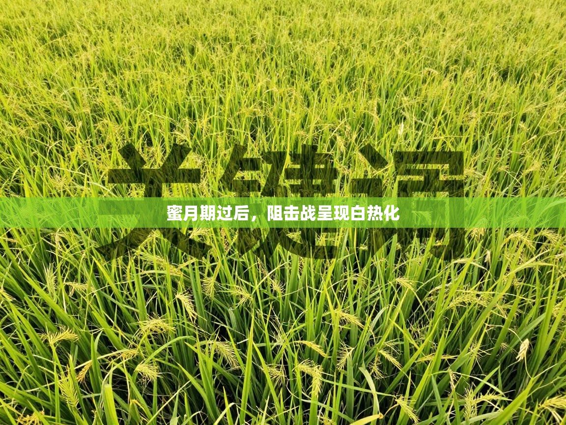 开云体育app下载-蜜月期过后，阻击战呈现白热化  第1张