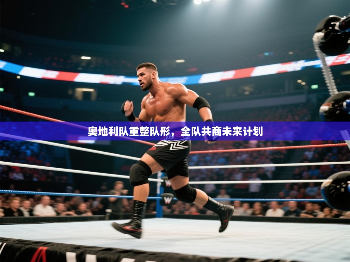 开云体育app投诉-奥地利队重整队形，全队共商未来计划  第3张