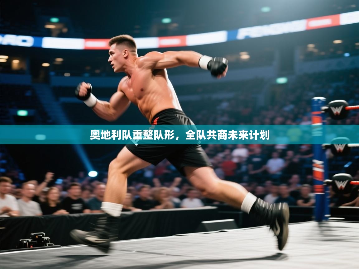 开云体育app投诉-奥地利队重整队形，全队共商未来计划  第2张