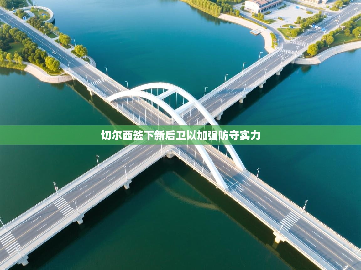 开云体育推送通知设置-切尔西签下新后卫以加强防守实力  第1张