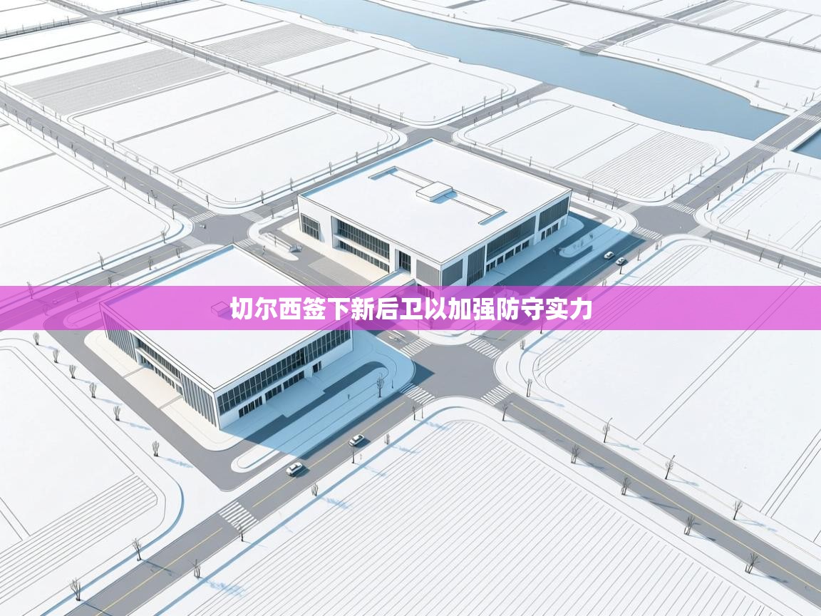 开云体育推送通知设置-切尔西签下新后卫以加强防守实力  第2张