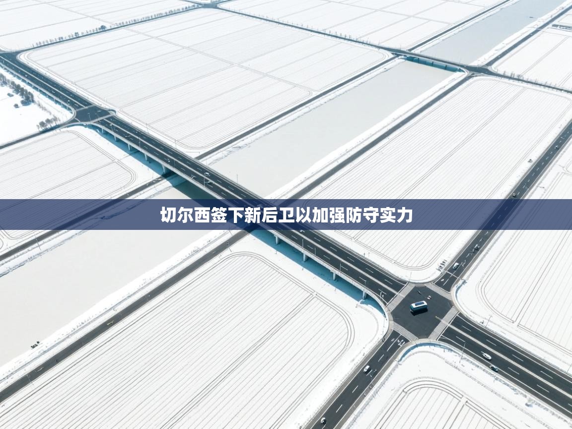 开云体育推送通知设置-切尔西签下新后卫以加强防守实力  第3张