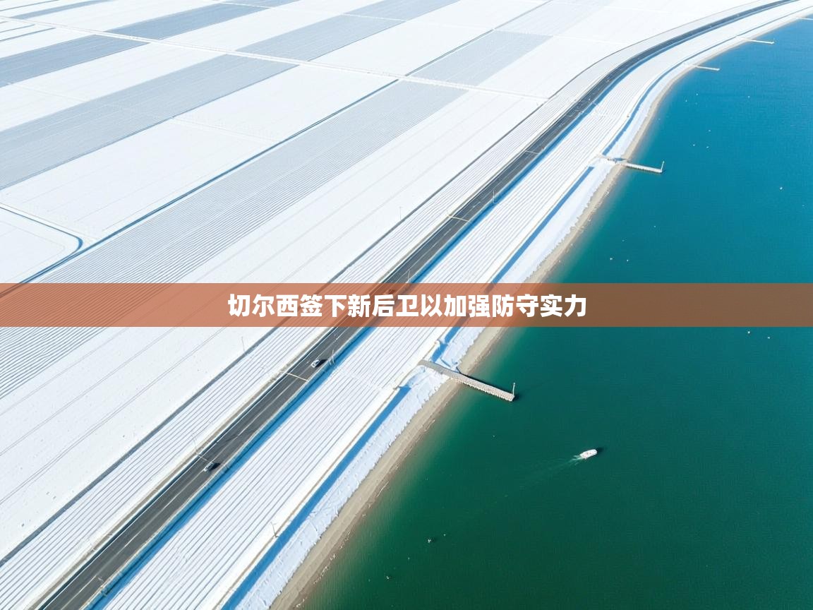 开云体育推送通知设置-切尔西签下新后卫以加强防守实力  第4张